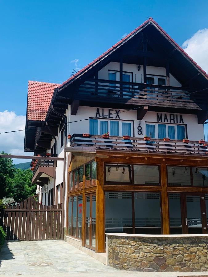 Alex & Maria Ξενοδοχείο Cărpinişu Εξωτερικό φωτογραφία